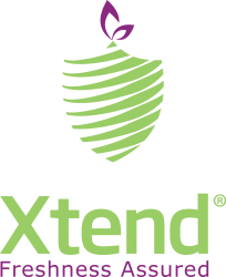 Xtend Bi-color logo